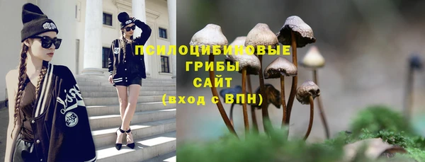 прущая мука Арсеньев