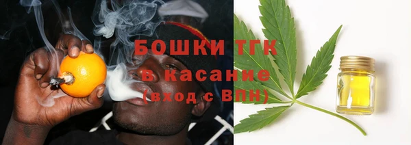 прущая мука Арсеньев